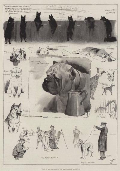 Dogs of All Nations at the Westminster Aquarium by Cecil Charles Windsor Aldin